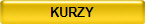KURZY