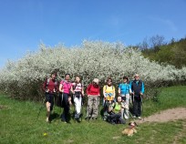 Nordic_Walking_Bityska_10 | V. Bítýška 25.4.2015