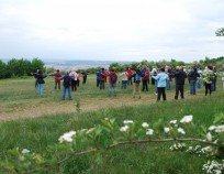 Nordic Walking Tour Brno Klajdovka 2015_64 | NW Tour 2015