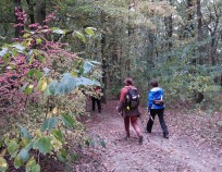 Nordic_Walking_Pisarky_11.10.2015_04 | Anthropos - kurz s výletem 11.10.15