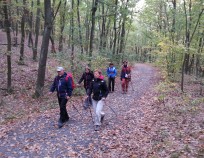 Nordic_Walking_Pisarky_11.10.2015_08 | Anthropos - kurz s výletem 11.10.15