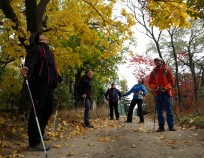 Nordic_Walking_Pisarky_11.10.2015_13 | Anthropos - kurz s výletem 11.10.15