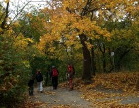 Nordic_Walking_Pisarky_11.10.2015_15 | Anthropos - kurz s výletem 11.10.15