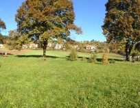 Jinacovice_Nordic_Walking_ kurz_vylet_12 | Jinačovice 24.10.2015