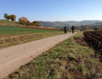 Jinacovice_Nordic_Walking_ kurz_vylet_33 | Jinačovice 24.10.2015