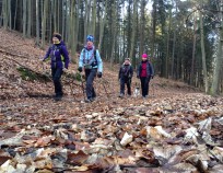 Nordic_Walking_Sebrov_6.2.2016_02 | Šebrov-Hořice 8.2.2016