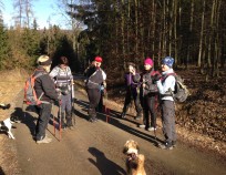 Nordic_Walking_Sebrov_6.2.2016_08 | Šebrov-Hořice 8.2.2016