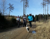 Nordic_Walking_Sebrov_6.2.2016_19 | Šebrov-Hořice 8.2.2016