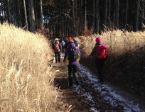 Nordic_Walking_Sebrov_6.2.2016_20 | Šebrov-Hořice 8.2.2016