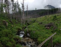 ME_NW_Strbske_Pleso_21.6.2015_100 | ME NW Štrbské Pleso 20.6.2015