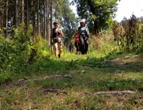 Blansko_Nordic_Walking_23.7.2016_14 | Blansko 23.7.2016