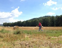 Veverska Bityska Nordic Walking 14.8.2016.14 | Veverská Bítýška 14.8.2016