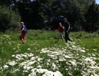 Veverska Bityska Nordic Walking 14.8.2016.17 | Veverská Bítýška 14.8.2016