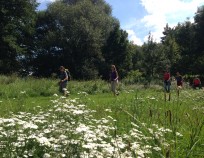 Veverska Bityska Nordic Walking 14.8.2016.18 | Veverská Bítýška 14.8.2016