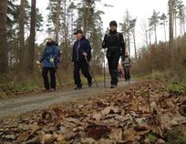 nordic walking závěrečná 2014_15 | Závěrečná s chodci