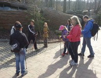 Nordic-Walking-ZOO-Brno_10 | Den pohybu v ZOO Brno 11.4.2015