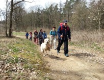 Nordic-Walking-trenink-Lesna_012 | Jehnice 12.4.2015