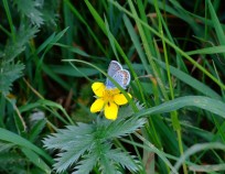 02_predklasteri | Předklášteří 10.6.2018