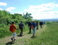 image034 | Nordic Walking Tour 2014