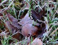 hrnem_nejstarsim_Brnem2 | Hrnem nejstarším Brnem 1.12.2018